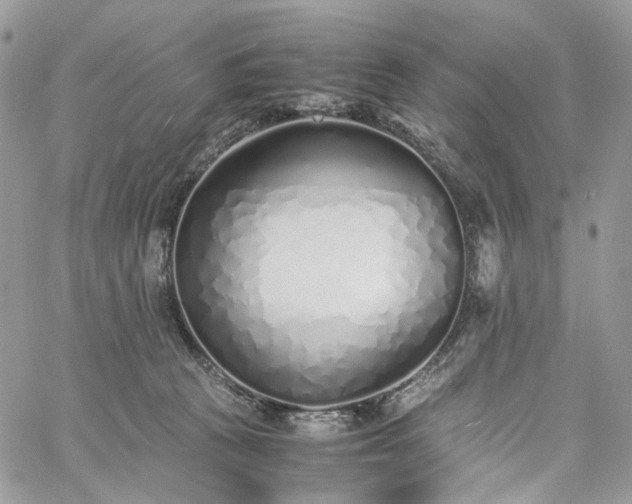 X0000060780273200511171250