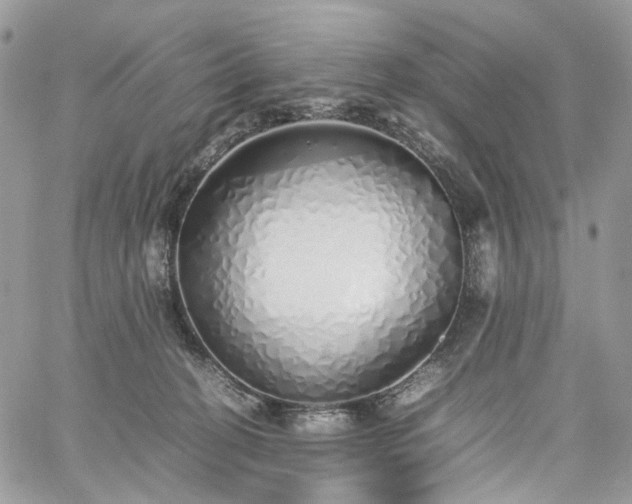 X0000060780274200511171250