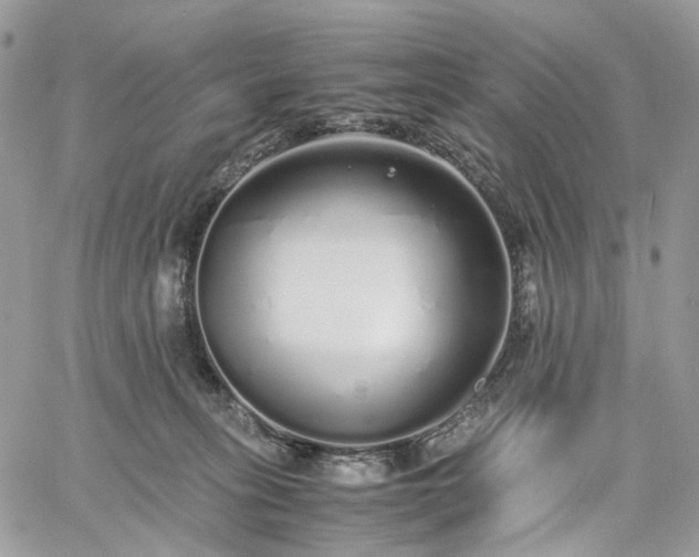 X0000060780275200511171250