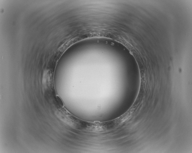 X0000060780276200511171250