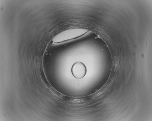 X0000060780277200511171250