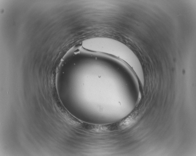 X0000060780278200511171250