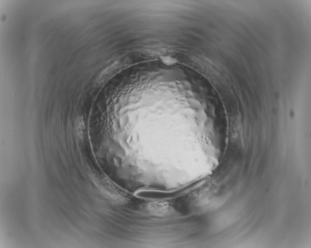 X0000060780279200511171250