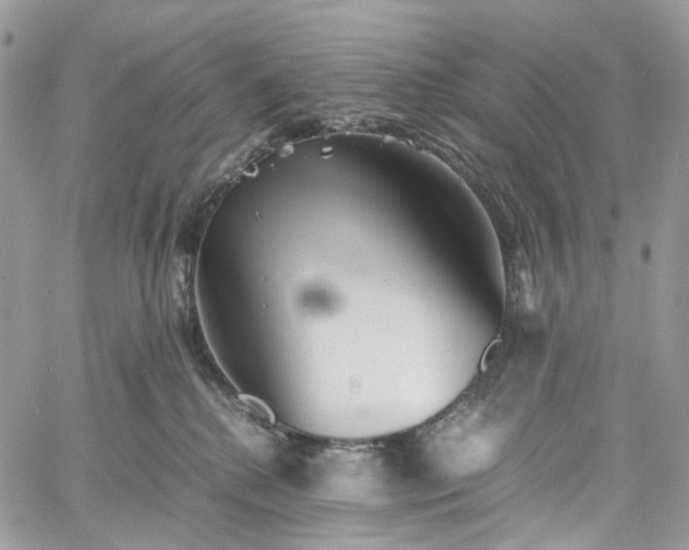 X0000060780280200511171250