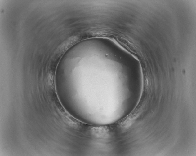 X0000060780281200511171250