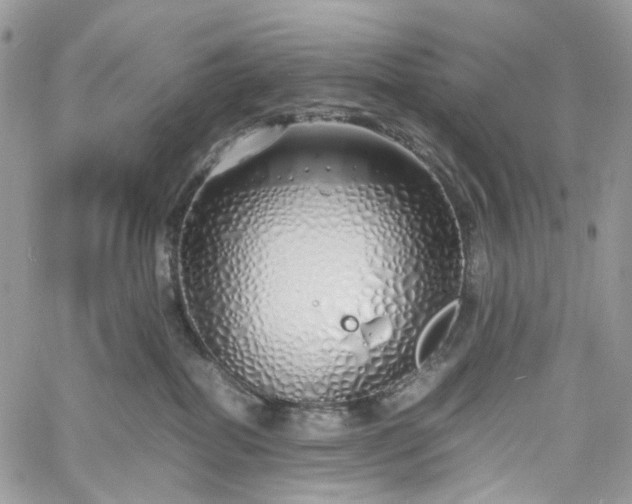 X0000060780282200511171250