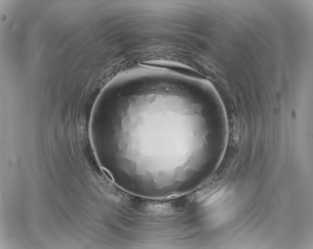 X0000060780283200511171250