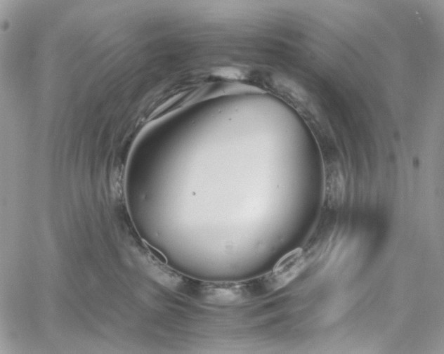 X0000060780285200511171251