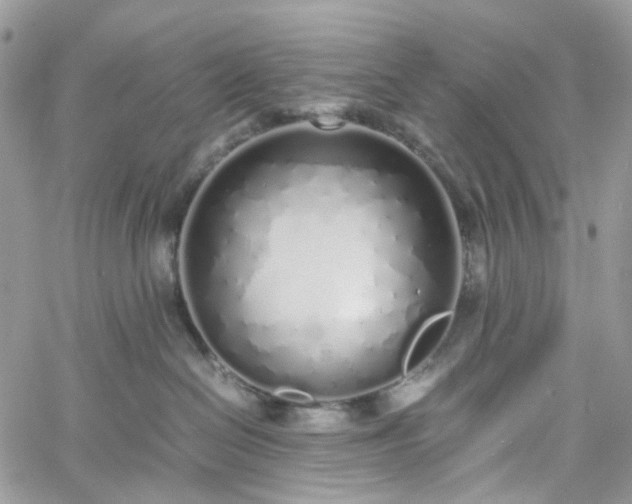 X0000060780286200511171251