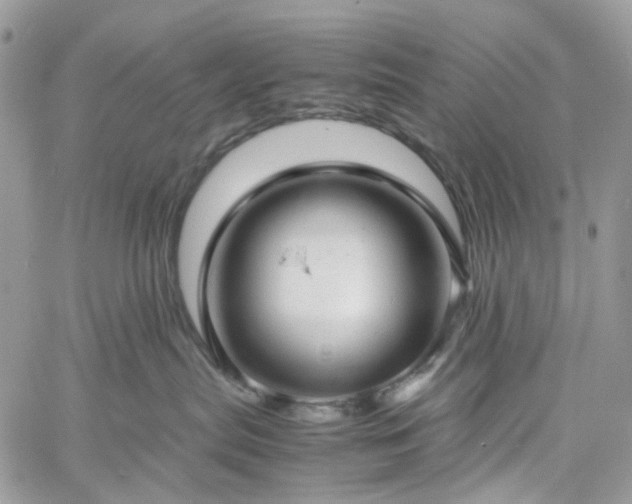 X0000060780287200511171251