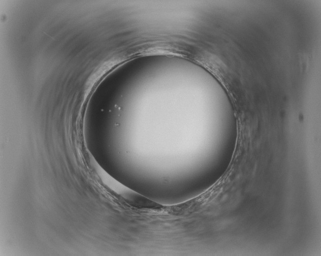 X0000060780289200511171250