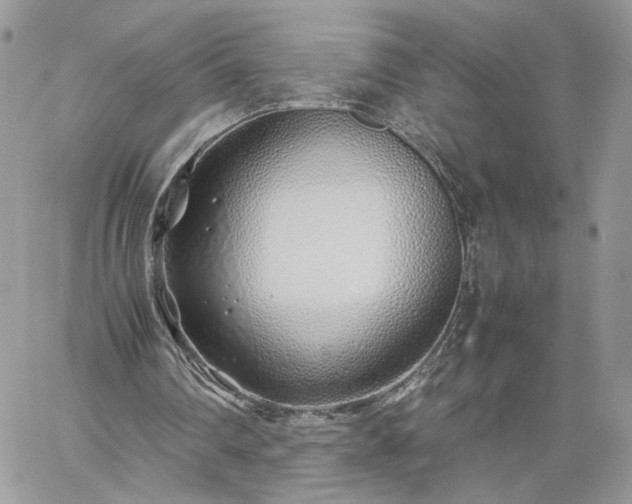 X0000060780290200511171250