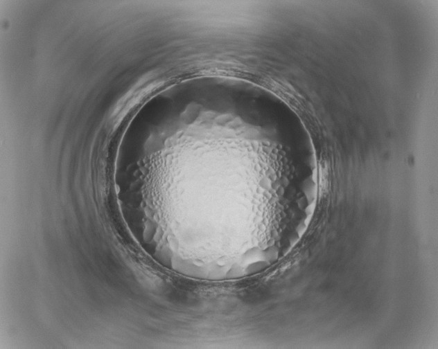 X0000060780291200511171250