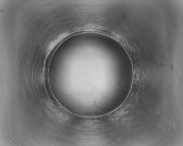 X0000060780292200511171250