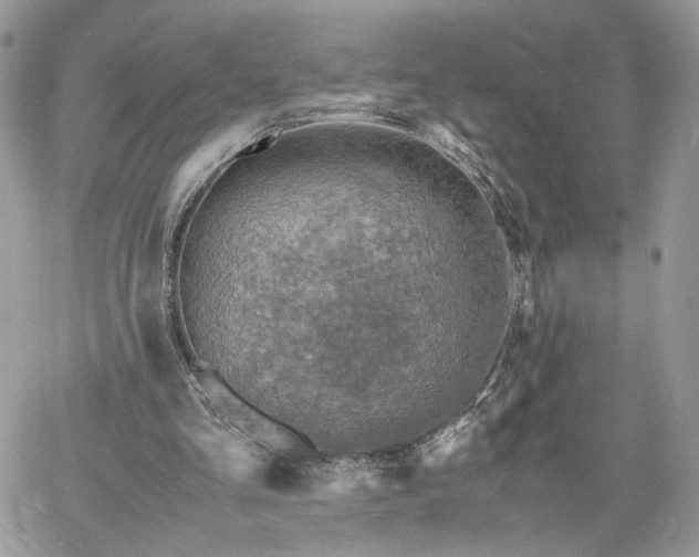 X0000060780293200511171250