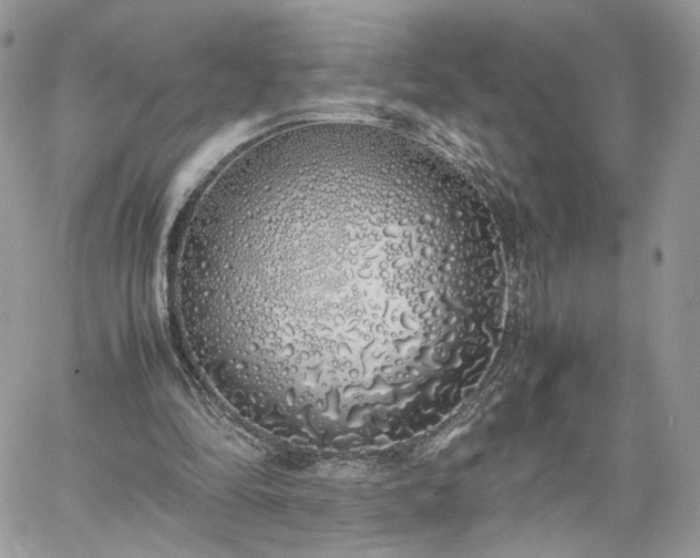 X0000060780294200511171250