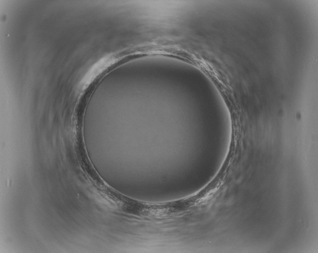 X0000060780295200511171250