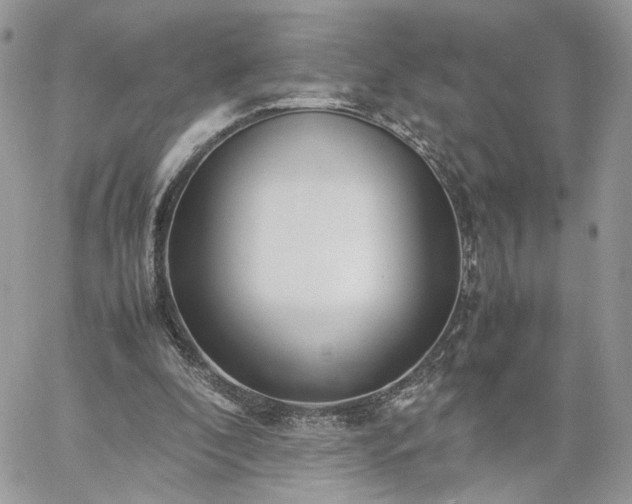 X0000060780296200511171250