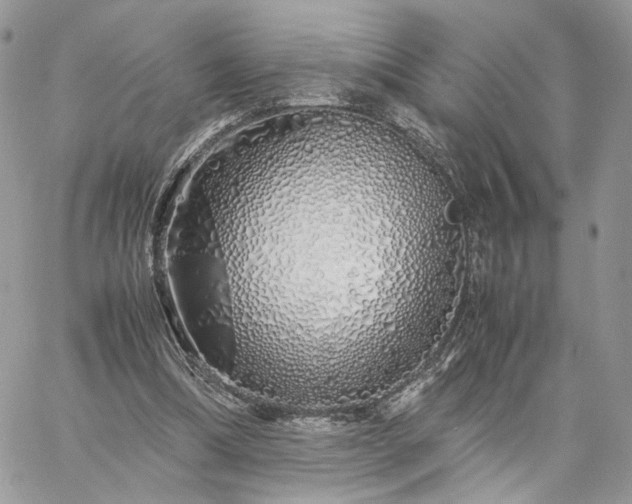 X0000060780298200511171250