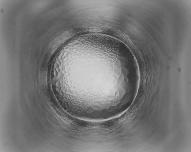 X0000060780299200511171250