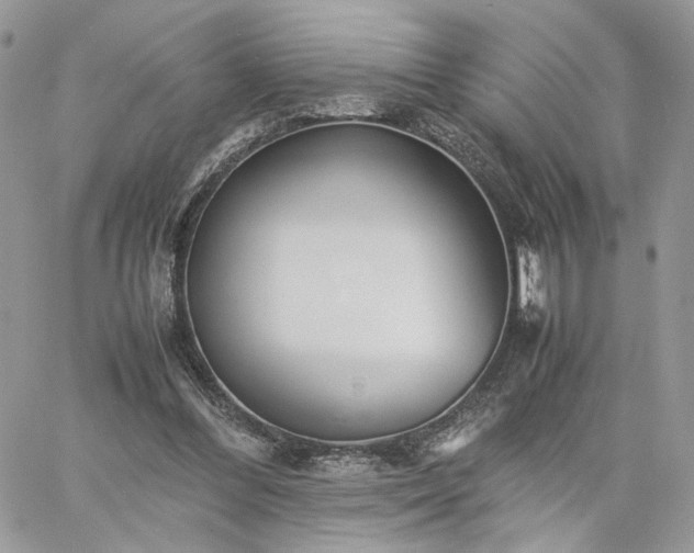 X0000060780300200511171250