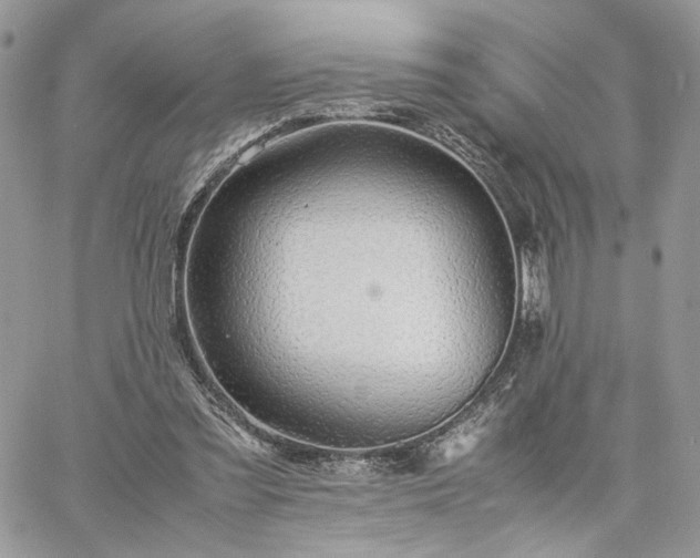 X0000060780301200511171250