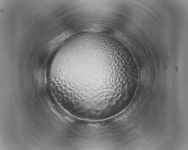 X0000060780302200511171250