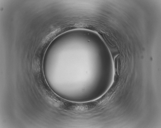 X0000060780303200511171250