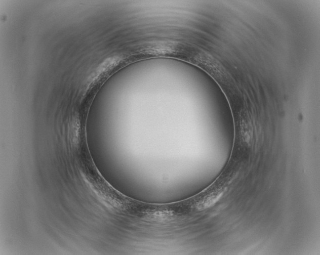 X0000060780304200511171250