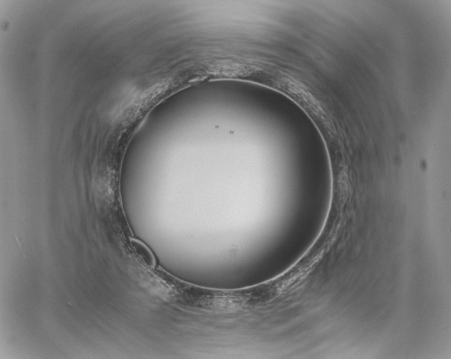 X0000060780305200511171250