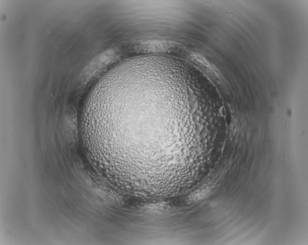 X0000060780306200511171250