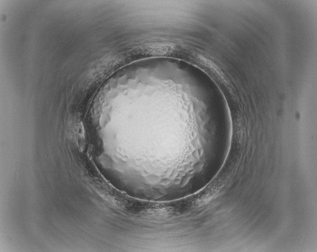 X0000060780307200511171249