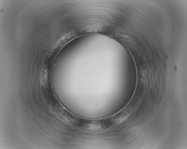 X0000060780308200511171249