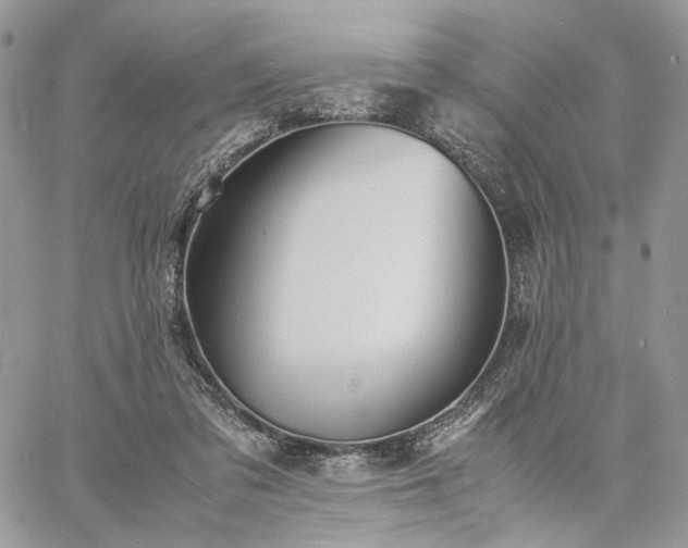 X0000060780309200511171249