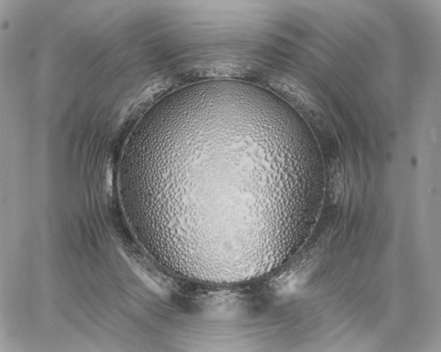 X0000060780310200511171249