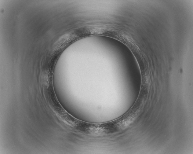 X0000060780311200511171249