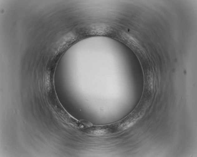 X0000060780312200511171249