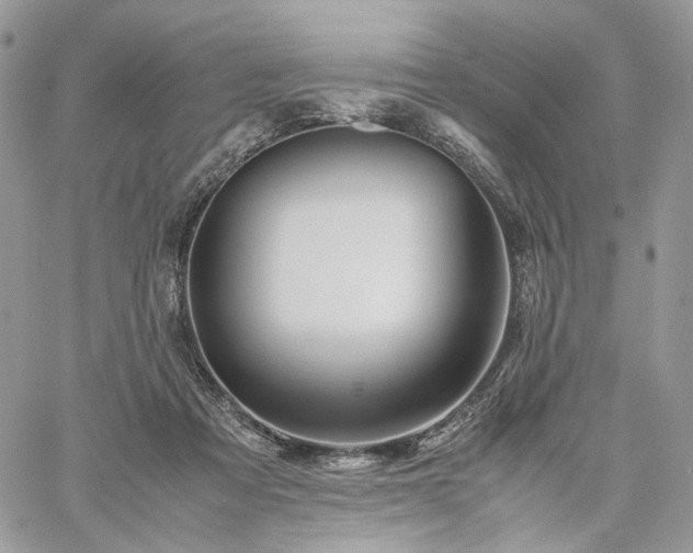 X0000060780313200511171249