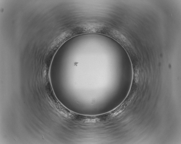 X0000060780314200511171249