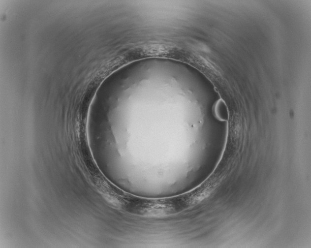 X0000060780315200511171249