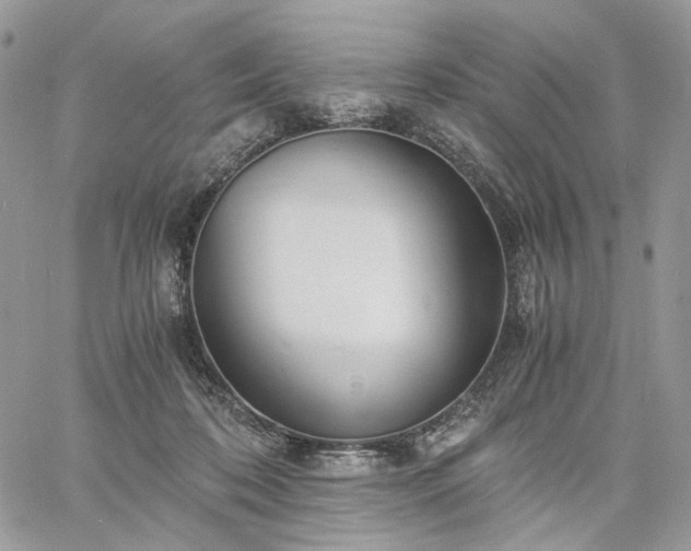 X0000060780316200511171249