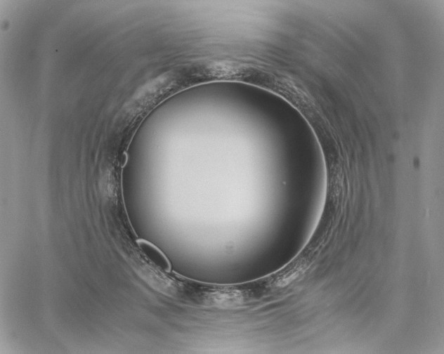 X0000060780317200511171249