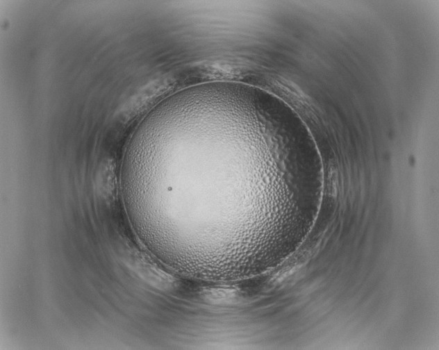 X0000060780318200511171249