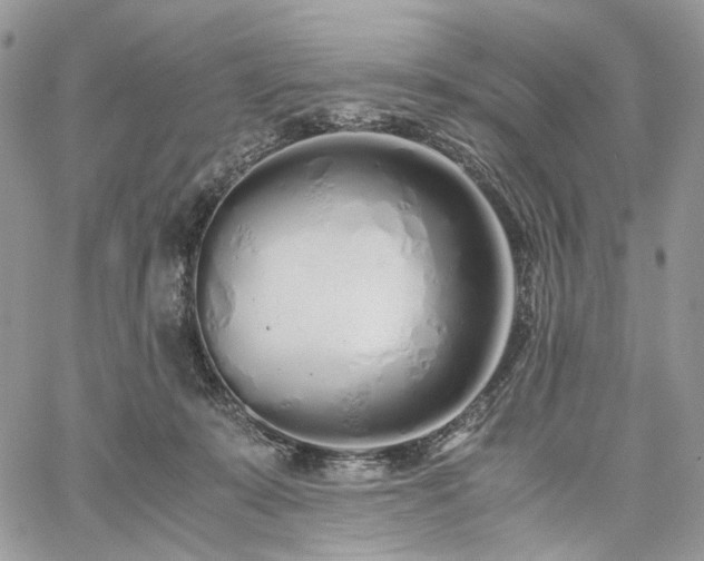 X0000060780319200511171249