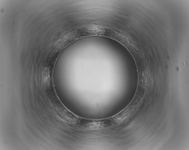 X0000060780320200511171249