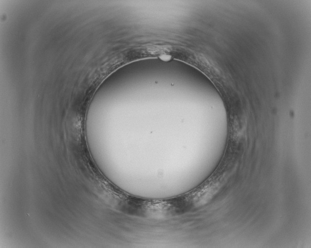 X0000060780321200511171249