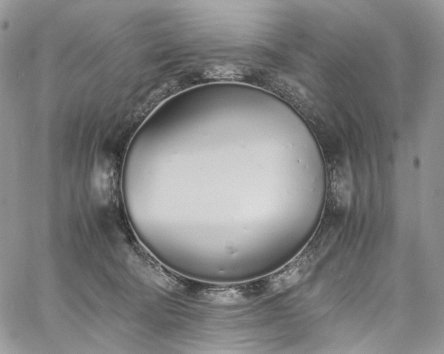 X0000060780322200511171249