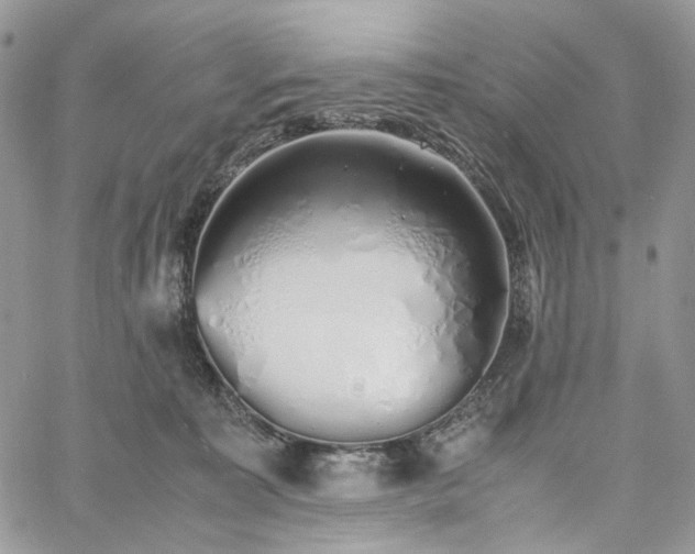 X0000060780323200511171249