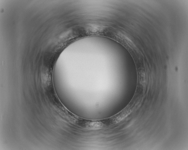 X0000060780324200511171249