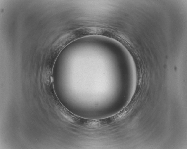 X0000060780325200511171249